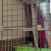 قفسه|کتابخانه، شلف، قفسه‌های دیواری|زنجان, |دیوار