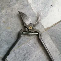 قیچی باغبانی