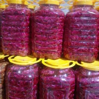 ترشی کلم قرمز|عمده‌فروشی|تهران, میدان میوه و تره‌بار مرکزی|دیوار