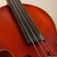 ویولن حرفه ای نو|ویولن|کرج, گوهردشت|دیوار