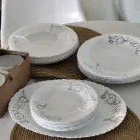 سرویس ارکوپال نو و پلمپ