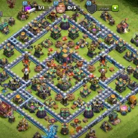 اکانت تان ۱۴مکس طاق