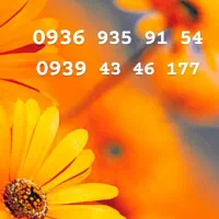 ۲ عدد سیم کارت اعتباری ایرانسل