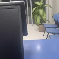 کار در کافینت