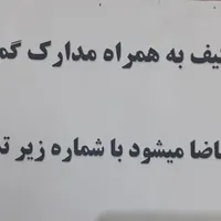 یگ عدد کیف به همراه مدارک شخصی ومدارک ماشین گم شده