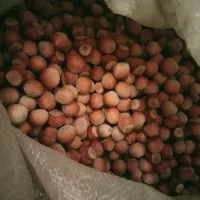 فندق امساله.درجه یک درشت و یکدست.