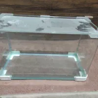 آکواریوم تتراریوم کوچک