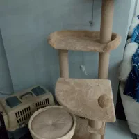 خانه درختی گربه|گربه|کرج, حسین‌آباد|دیوار