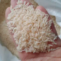 برنج ارگانیک محلی|خوردنی و آشامیدنی|رشت, معلولین|دیوار