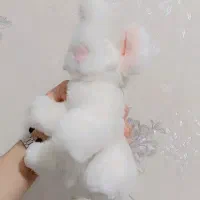 عروسک شانش واقعی