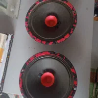 باند میدرنج دهنه 6 نو