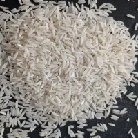 برنج ندا پاییزه