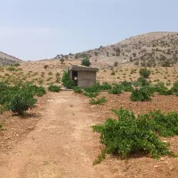 فروش باغ روستای بردج قابل معاوضه|فروش زمین و ملک کلنگی|شیراز, نصر|دیوار