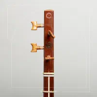 ستار محمدی قالب هاشمی