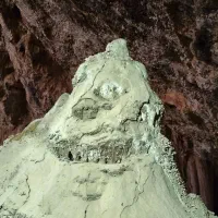 ایجاد گروه طبیعتگردی