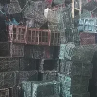 سبد میوه فروشی