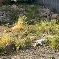 فروش-زمین-شهرک-خرم