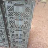 سبد میوه