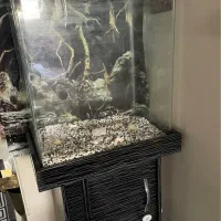 آکواریوم شیشه خم