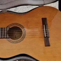 گیتار هافنر