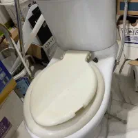 توالد فرنگی