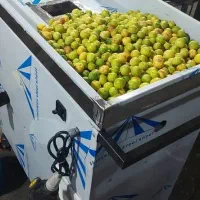 (آبلیموگیری برای مغازهدارها،دستگاه آبغوره و لیمو)|ماشینآلات صنعتی|سنندج, |دیوار