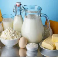 لبنیات محلی