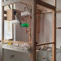 فروش یک قفس بزرگ به همرله دوقفس فلزی