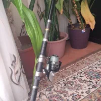 چوب وچرخ ماهیگیری|ماهیگیری|فولادشهر, B2|دیوار