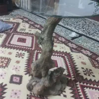 میز‌تلفن‌