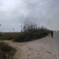 فروش زمین کشاورزی(جای عالی)