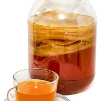 نوشیدنی و قارچ کامبوجا