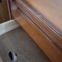 کشویی|جاکفشی، کمد، دراور|کاشان, ولیعصر|دیوار