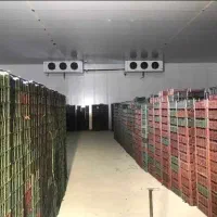 ساخت سردخانه مرکبات 5 تا 450 تن