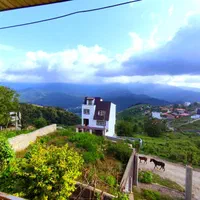 ویلای جنگلی «« Amazon »» سوادکوه|اجارهٔ کوتاه‌مدت ویلا و باغ|زیرآب, |دیوار