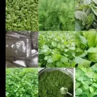 ۰۹۸۹۰۱۰۳۹۷۶۰۵|سیم‌کارت|شوشتر, |دیوار