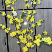 گل کاغذی شکوفه ی