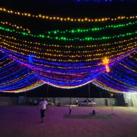 تشریفات عروسی|خدمات پذیرایی، مراسم|کهنوج, |دیوار