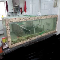 اکواریوم خالی