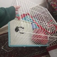 قفس|لوازم جانبی حیوانات|اصفهان, تخت فولاد|دیوار