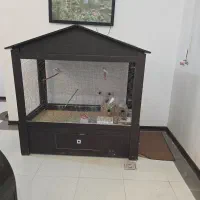 قفس پرنده با۶عدد فنچ نرگسی