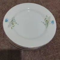 بشقاب میوه خوری|ظروف سرو و پذیرایی|علیآباد کتول, |دیوار