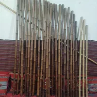 چوب خیزران و فول عمده ماهشهر