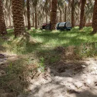 خدمات