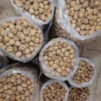 خشک بار خونگی|خوردنی و آشامیدنی|تهران, قیطریه|دیوار