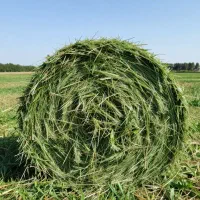 پرس یونجه درجه یک