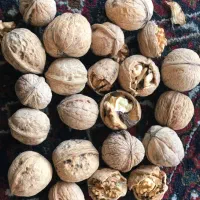 محصولات کشاورزی