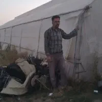 نیروی کار کارگری برای گلخانه