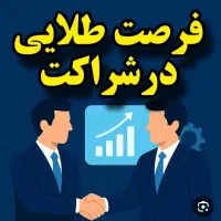 راهنمایی سرمایهگذاری و شراکت