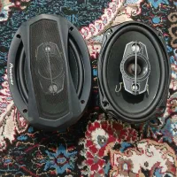 باند پایونر بیضی